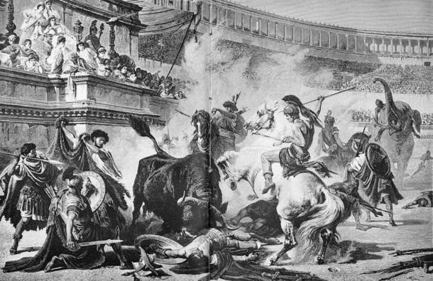 Spiculus là một trong những võ sĩ giác đấu nổi tiếng nhất thành Rome. Không những vậy, ông còn võ sĩ yêu thích của hoàng đế Nero của đế chế La Mã.