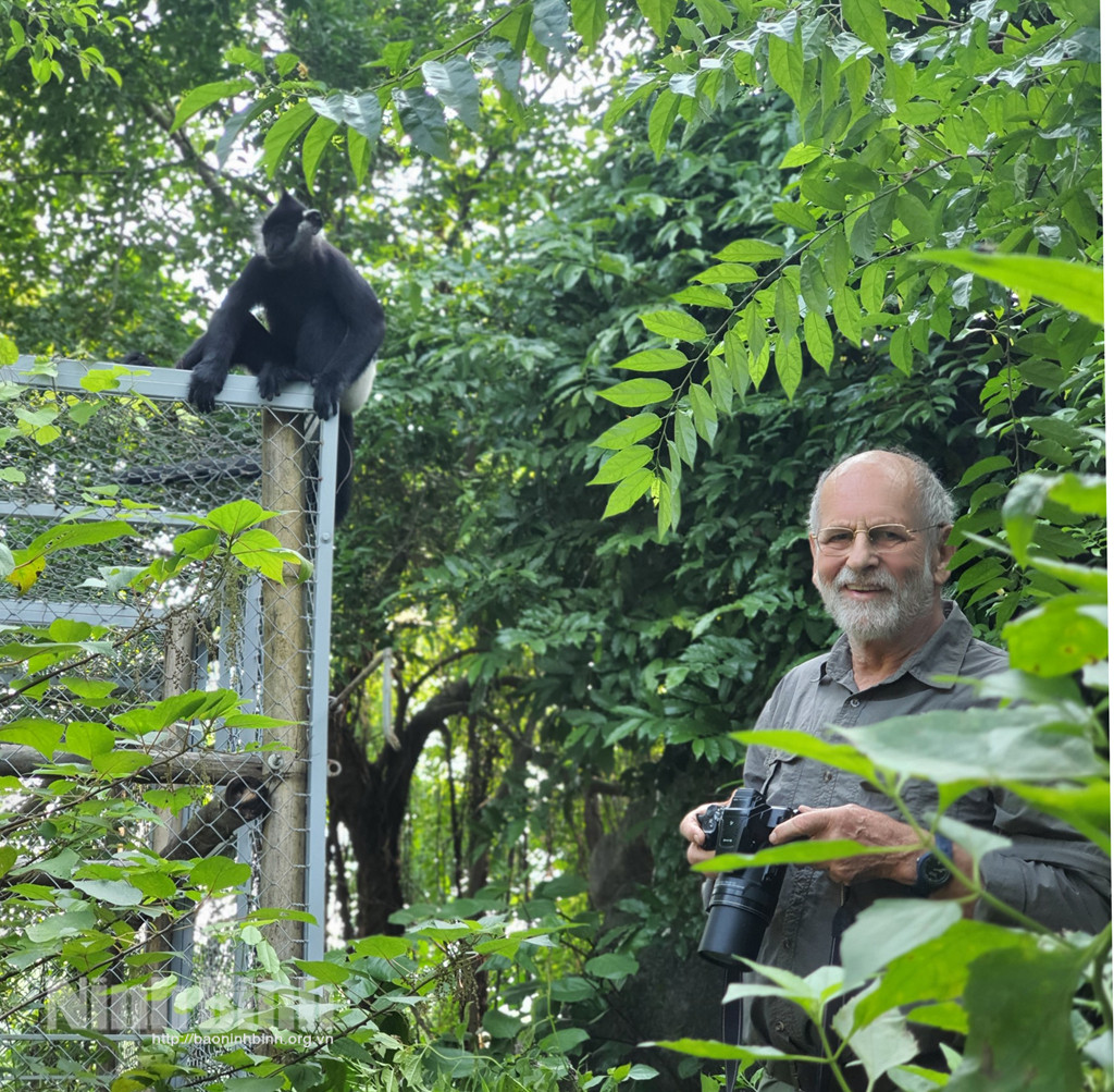 Theo dữ liệu của Liên minh Bảo tồn thiên nhiên Thế giới, Việt Nam chỉ còn khoảng 250 cá thể voọc mông trắng vào năm 2015. Khi ấy, số lượng voọc mông trắng suy giảm nhanh chóng do nạn săn bắt trộm và mất môi trường sống.