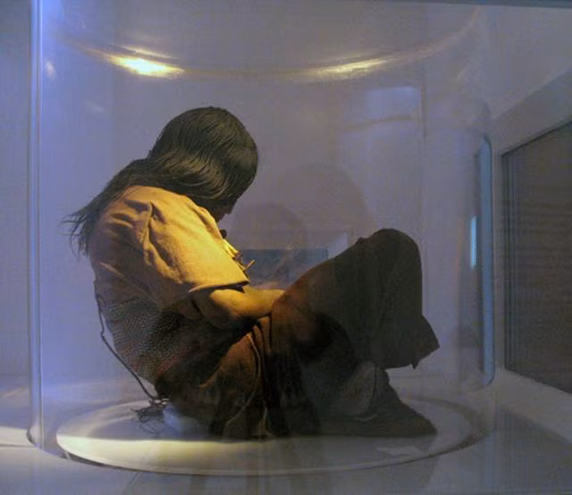 Những tuần cuối cùng trong cuộc đời, thiếu nữ Inca được cho dùng rượu chicha được nấu từ men ngô và lá cocaine để không cảm thấy lo lắng, sợ hãi hay đau đớn.