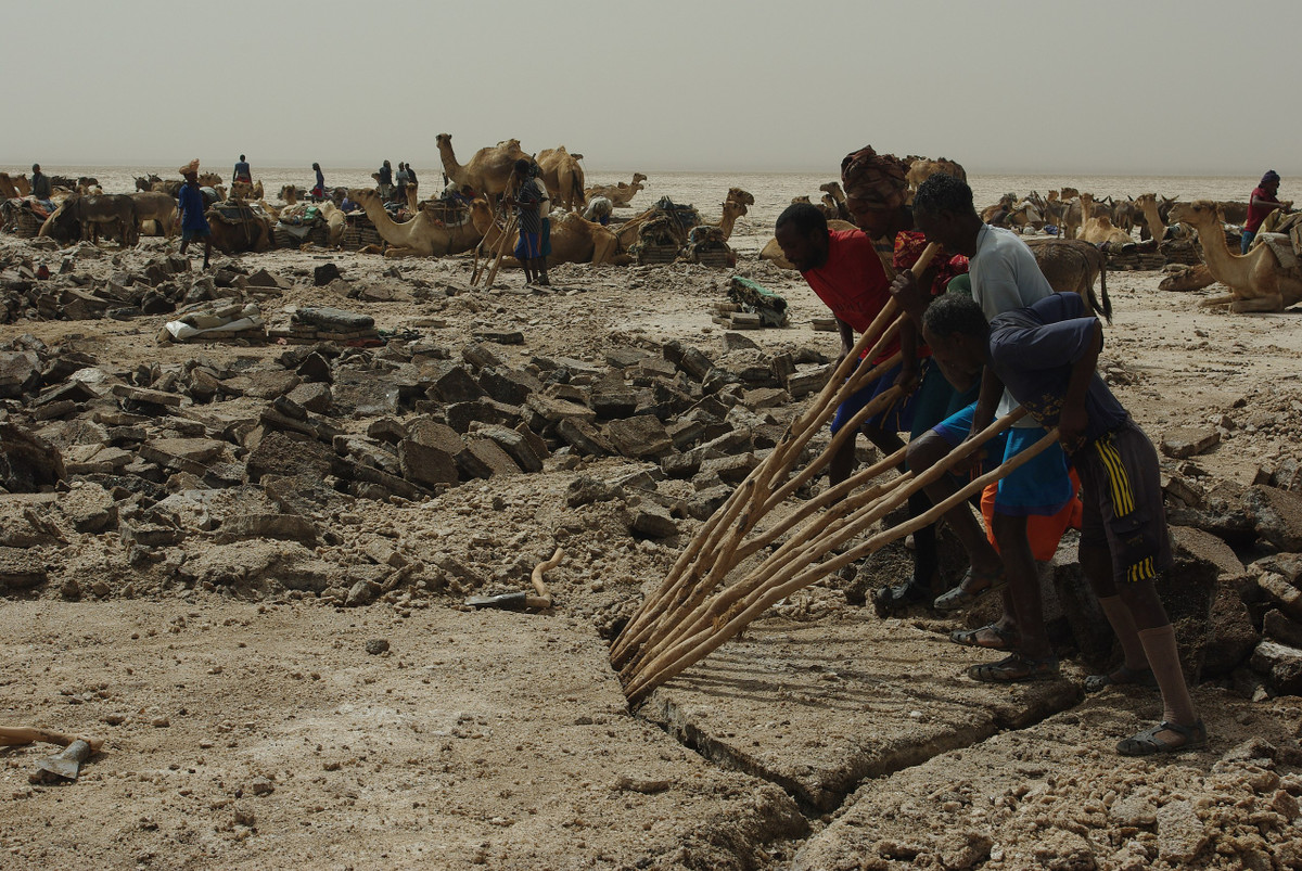 Một bộ tộc kiếm sống ở Dallol là Afar. Họ sống ở làng Kus và khai thác các khối muối ở đồng bằng muối khô. Sau đó, chúng được chuyển qua sa mạc bằng lạc đà.