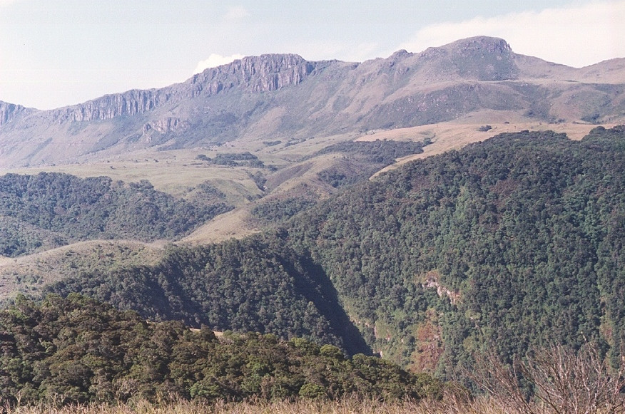 Theo lời kể của 3 người, họ đi lang thang trong núi suốt khoảng thời gian đó và không cảm thấy đói hay khát nước. Điều kỳ lạ là họ cảm thấy mới chỉ đi lạc vài tiếng chứ không phải 4 ngày.