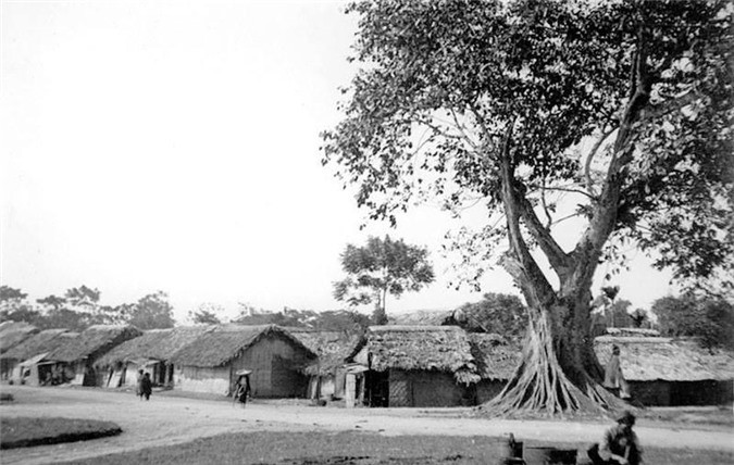 Một ngôi làng ở ngoại thành Hà Nội năm 1890.