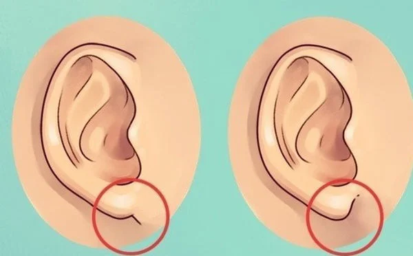 Nhìn tai nhận ngay ra đàn ông thông minh tài giỏi hay cẩn trọng - Hình 6 Nhin tai nhan ngay ra dan ong thong minh tai gioi hay can trong-Hinh-6