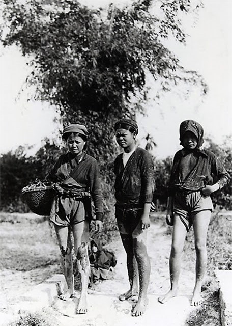 Những người phụ nữ nông thôn đi làm đồng.