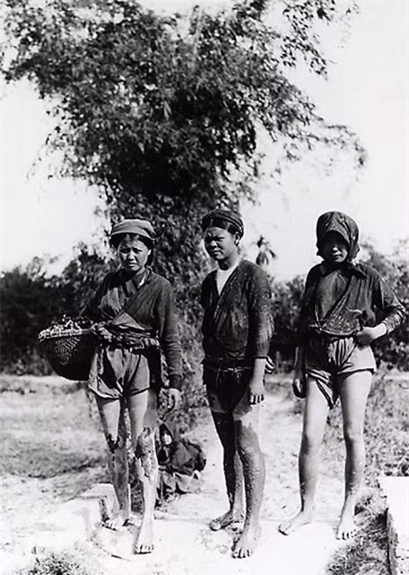 Những người phụ nữ nông thôn đi làm đồng.