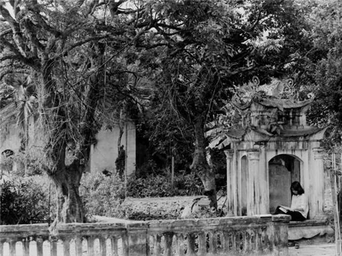 Một em học sinh học bài trong không gian tĩnh mịch của một ngôi chùa ở Hà Nội.