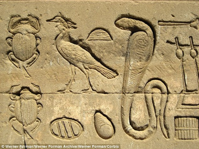 Các vết cắn gây đau đớn và sau một thời gian thì sưng, bầm tím, mọc mụn nước và sau đó là hoại tử. Các triệu chứng khác bao gồm: đau đầu và chóng mặt, buồn nôn, nôn, đau bụng, tiêu chảy, cuối cùng là ngã gục hoặc co giật. Trong trường hợp nặng nhất, nọc độc gây giãn cơ nghiêm trọng.