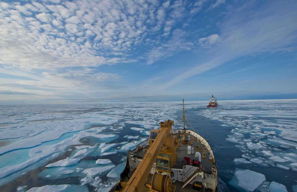 Đây cũng là nơi sinh sống của nhiều loài động vật hoang dã như cá voi, gấu trắng, hải cẩu... Năm 2007, sau một mùa hè ấm áp đến khó tin, cả khu vực gần như không còn băng, đe dọa nghiêm trọng đến sự tồn tại của loài gấu trắng.