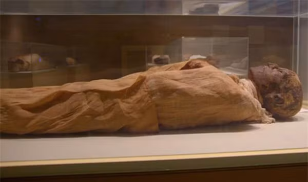 Nữ hoàng Tiye được cho là đã cùng Pentaweret - con trai của bà, thực hiện âm mưu ám sát vua Ramses III nhằm đưa con trai lên ngai vàng. Tuy nhiên, giả thiết này từng bị cho là không thuyết phục khi người ta không tìm thấy các tài liệu nào cụ thể cũng như không thấy vết thương rõ ràng nào trên xác ướp của vua Ramses III.