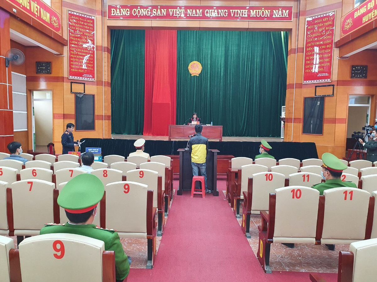 Hội đồng xét xử quyết định xử phạt 15 tháng tù giam.