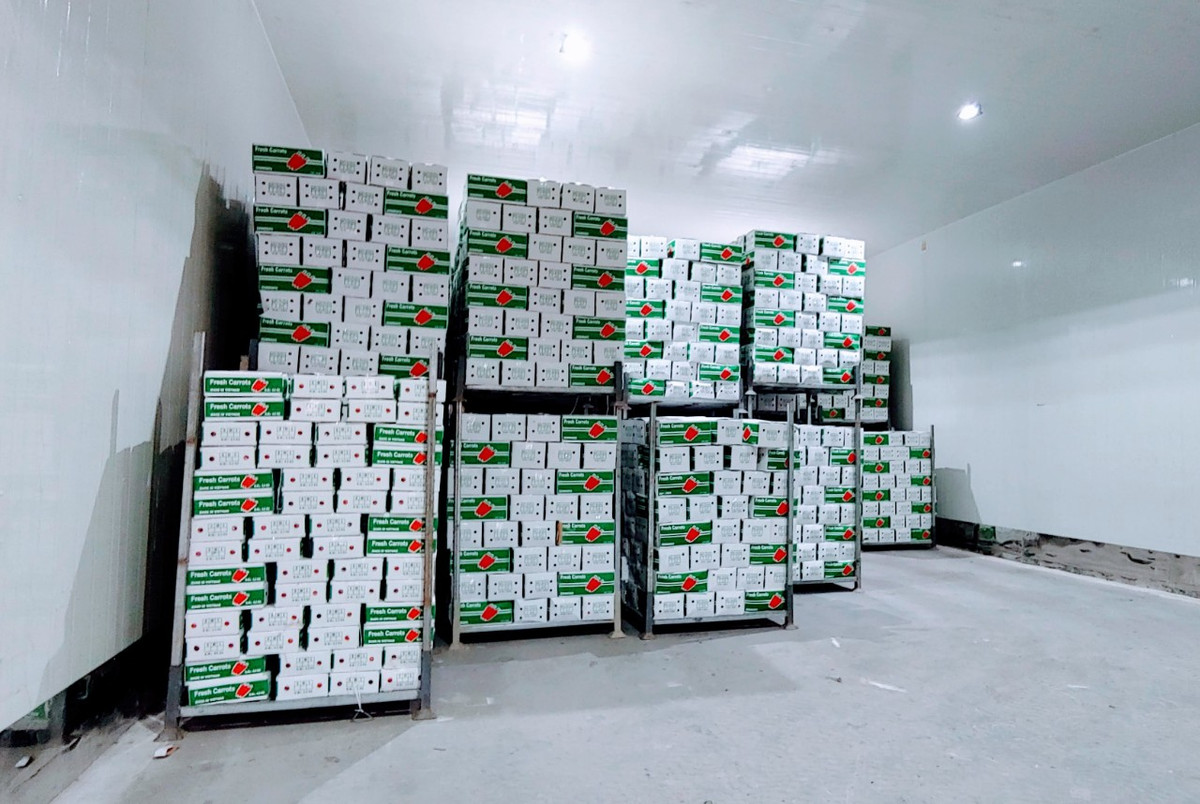 Cục Bảo vệ thực vật cũng yêu cầu các Chi cục kiểm dịch thực vật thông báo và hướng dẫn các doanh nghiệp chuẩn bị tốt các lô hàng xuất khẩu đáp ứng quy định của Hàn Quốc. Kiểm tra chặt chẽ xuất xứ và tình trạng sinh vật gây hại đối với các lô hàng xuất khẩu nhằm đảm bảo đáp ứng quy định kiểm dịch thực vật của Hàn Quốc.