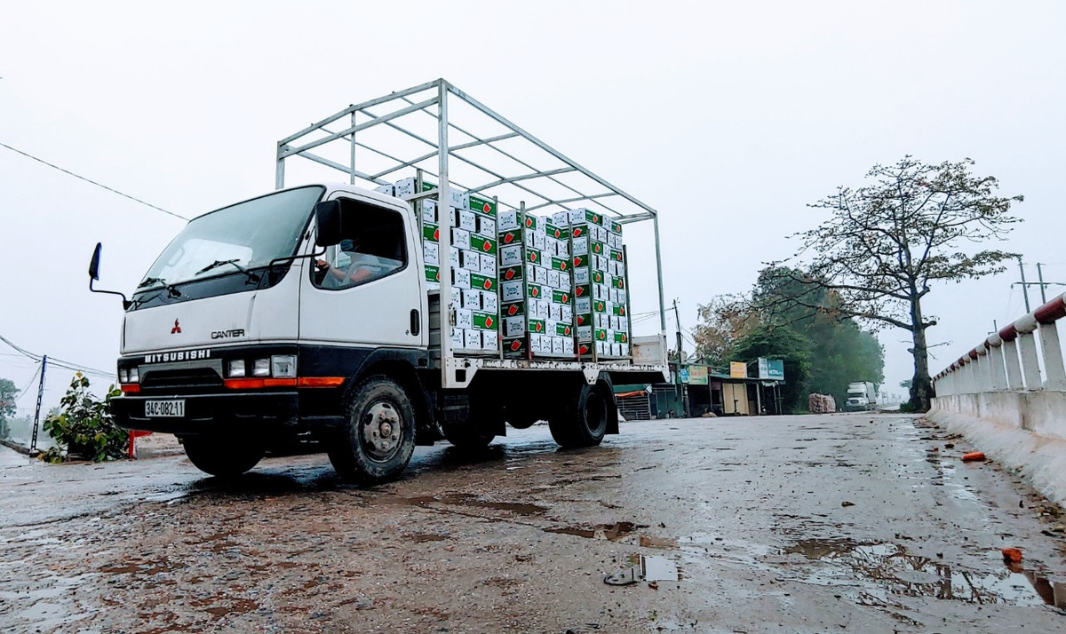 Qua tìm hiểu, so với thời điểm trước Tết, giá cà rốt hiện tăng khoảng 10% và hiện nay doanh nghiệp cũng rất khó khăn trong việc đặt thêm hàng. Một trong những lý do được các xưởng sơ chế và đóng gói đưa ra là do huyện Cẩm Giàng đang cách ly vì ảnh hưởng của dịch COVID-19, lực lượng lao động thiếu vắng.