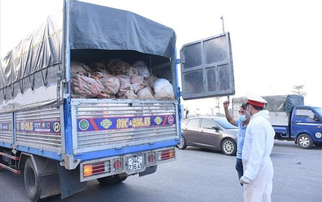 Ung xu voi hang hoa tu Hai Duong: 5 tinh ho tro, Hai Phong van “tac”?