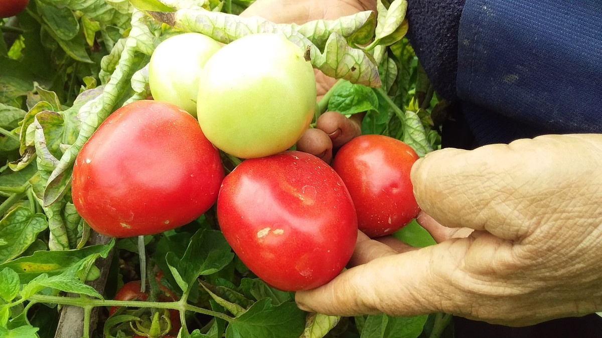 Nhưng muốn làm được điều đó, cần sự chung tay giúp sức của cả nước.