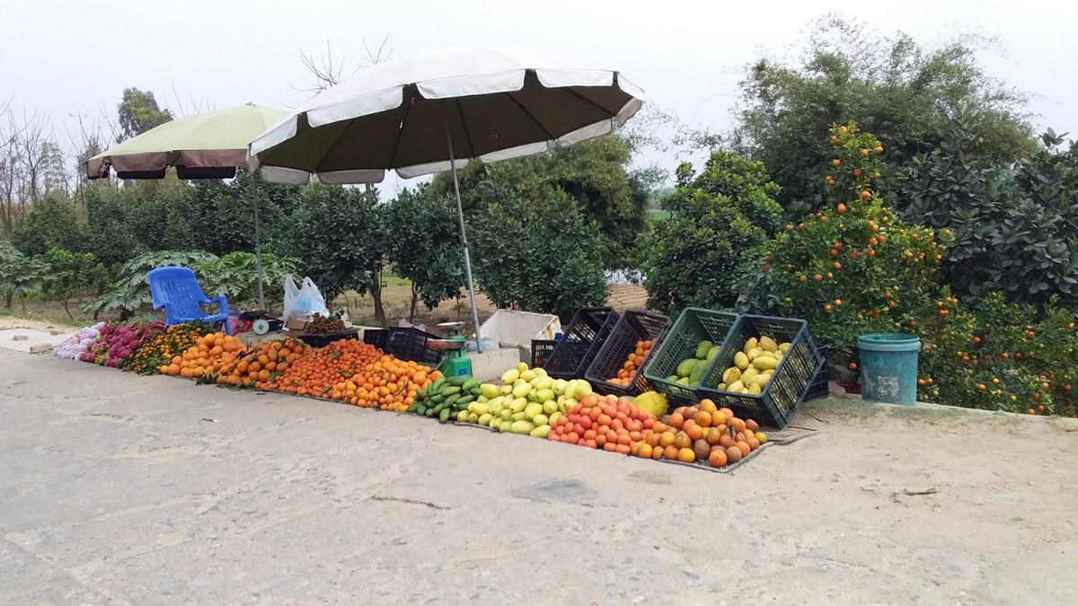 Hoa quả cũng ế ẩm. Dù kinh doanh buôn bán gặp khó khăn nhưng cho thấy ý thức phòng dịch của người dân là rất tốt.