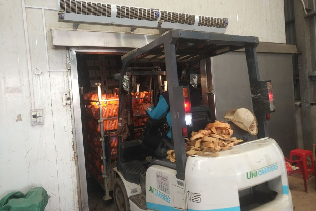 Do ảnh hưởng có dịch COVID-19, nhất là thời điểm Hải Dương thực hiện cách ly xã hội, việc tiêu thụ nông sản của nông dân hiện đang gặp rất nhiều khó khăn do các thương lái không thể vận chuyển hàng hóa do quy định phòng chống dịch. Hải Dương còn khoảng 90.000 tấn rau màu vụ đông cần tiêu thụ, chủ yếu là hành, tỏi, cà rốt, rau ăn lá.