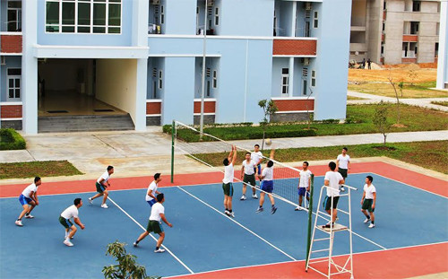 Thuy thu tau ngam Viet Nam ren luyen xuyen Tet-Hinh-3