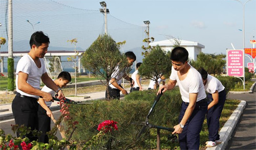 Thuy thu tau ngam Viet Nam ren luyen xuyen Tet-Hinh-4