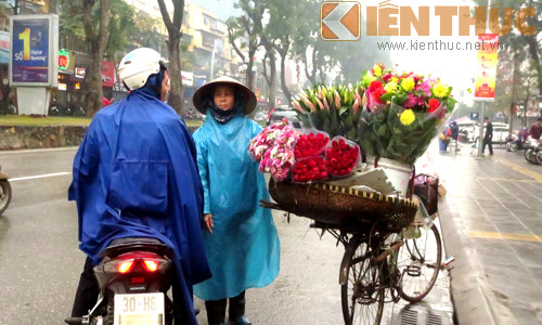 Gánh hàng hoa cũng không đắt khách như mọi ngày, những bó hồng nhung vẫn nằm nguyên trên xe.