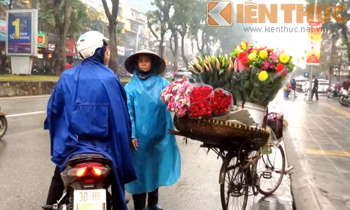 Gánh hàng hoa cũng không đắt khách như mọi ngày, những bó hồng nhung vẫn nằm nguyên trên xe.