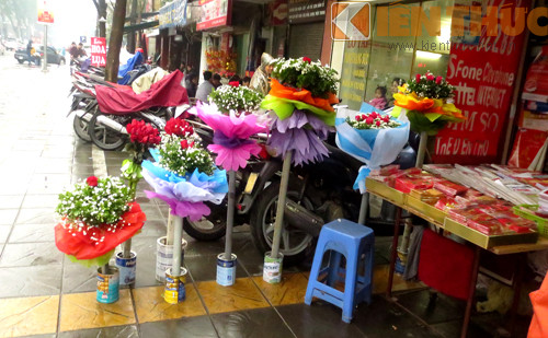 Cảnh vắng vẻ của hàng hoa trên đường Giảng Võ - Hà Nội.