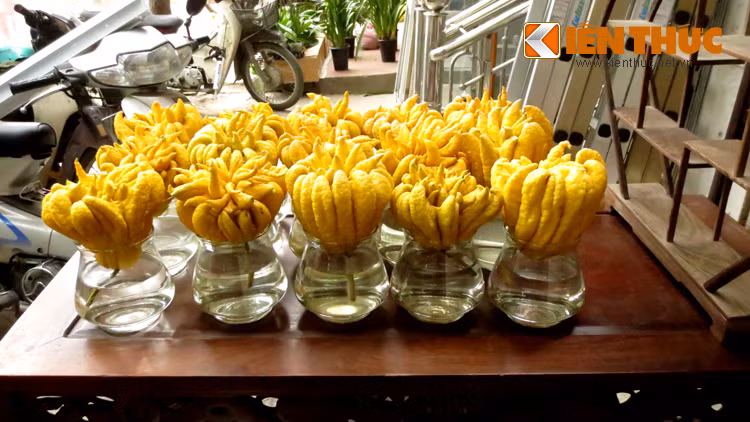 Phật thủ cũng là loại đồ lễ được tìm mua từ rất sớm vì trái cây này tươi lâu. Trên thị trường, những trái phật thủ được "trồng" trong bình thủy tinh có nước, có giá 200.000 đồng. Theo chủ cửa hàng trên phố Hoàng Hoa Thám: "Trái phật thủ ngâm cành trong nước, một thời gian sau sẽ mọc rễ cây, do đó, trái sẽ tươi rất lâu, mùi thơm dễ chịu, có thể chơi qua Tết".