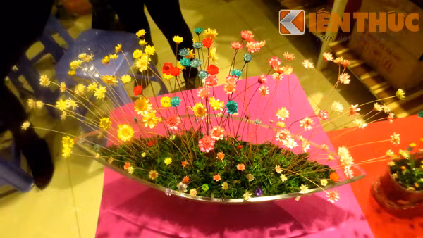 Cuc nhiet doi mini thanh qua doc la mua Valentine 2015