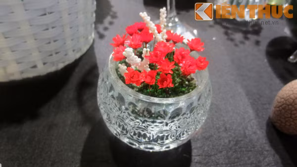 Cuc nhiet doi mini thanh qua doc la mua Valentine 2015-Hinh-3