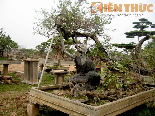 Tận mục vườn cảnh tiền tỷ độc lạ giữa Hà Nội - Hình 8 Tan muc vuon canh tien ty doc la giua Ha Noi-Hinh-8