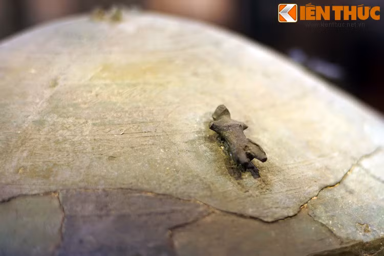 Theo TS Nguyễn Việt, kiểu làm bốn khối tượng trên rìa nắp thạp khá phổ biến ở vùng văn hóa Đông Sơn trung lưu sông Hồng này. Một thạp khác là Hợp Minh có bốn chú bồ nông, thạp Vạn Thắng có bốn con hổ trong tư thế vồ ngoạm con mồi.