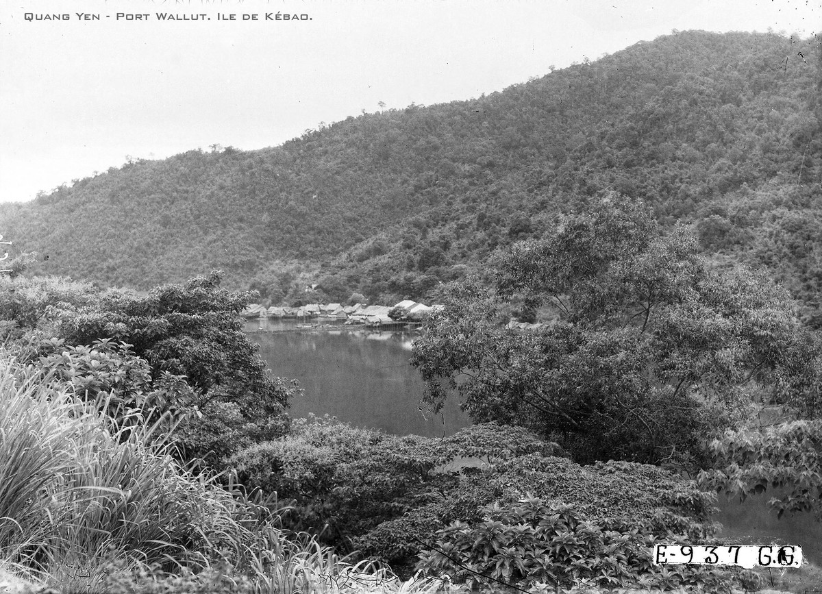 Khu dân cư cảng Wallut nhìn từ xa.