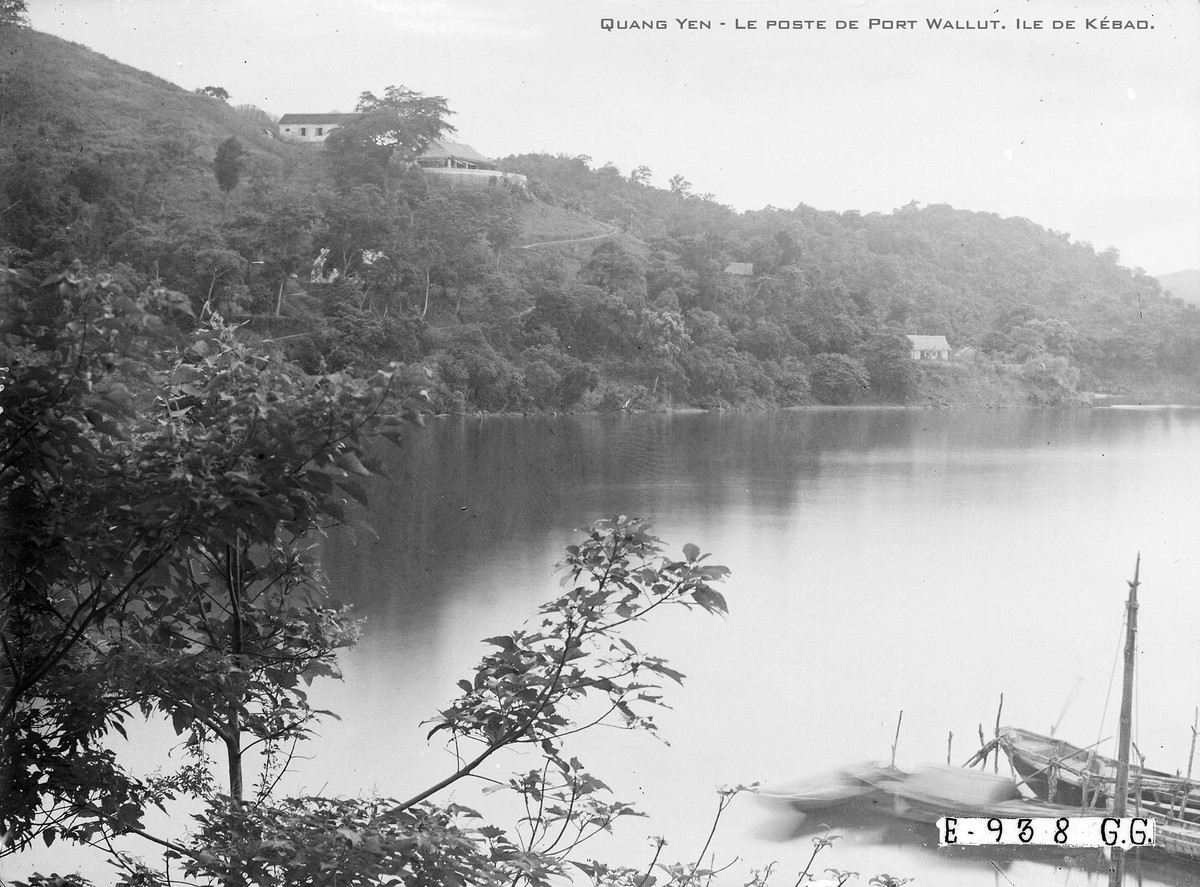 Khung cảnh nhìn từ cảng Wallnut.