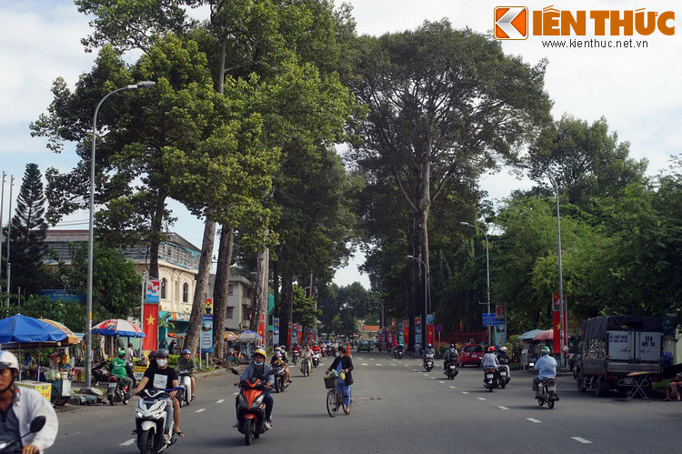 Không chỉ vậy, việc đổi tên một đoạn đường Đinh Tiên Hoàng thành đường Lê Văn Duyệt sẽ tạo thành cụm đường mang tên danh nhân thời Gia Định xưa: Lê Quang Định, Trịnh Hoài Đức, Ngô Nhân Tịnh, Võ Trường Toản, Bùi Hữu Nghĩa... giúp người dân dễ nhớ, dễ tìm kiếm.