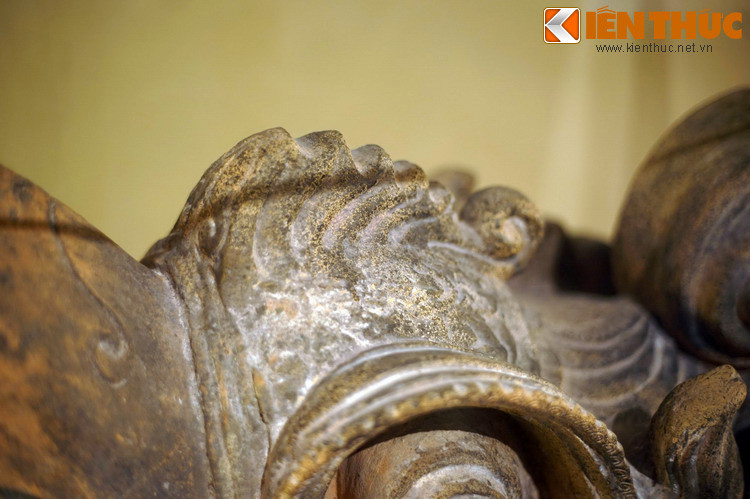 Chiếc mào nhỏ trên đỉnh đầu phượng hoàng.