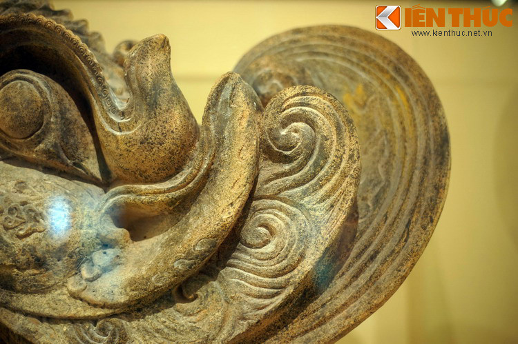 Sau đầu phượng có chỏm bờm kéo dài, uốn cong.