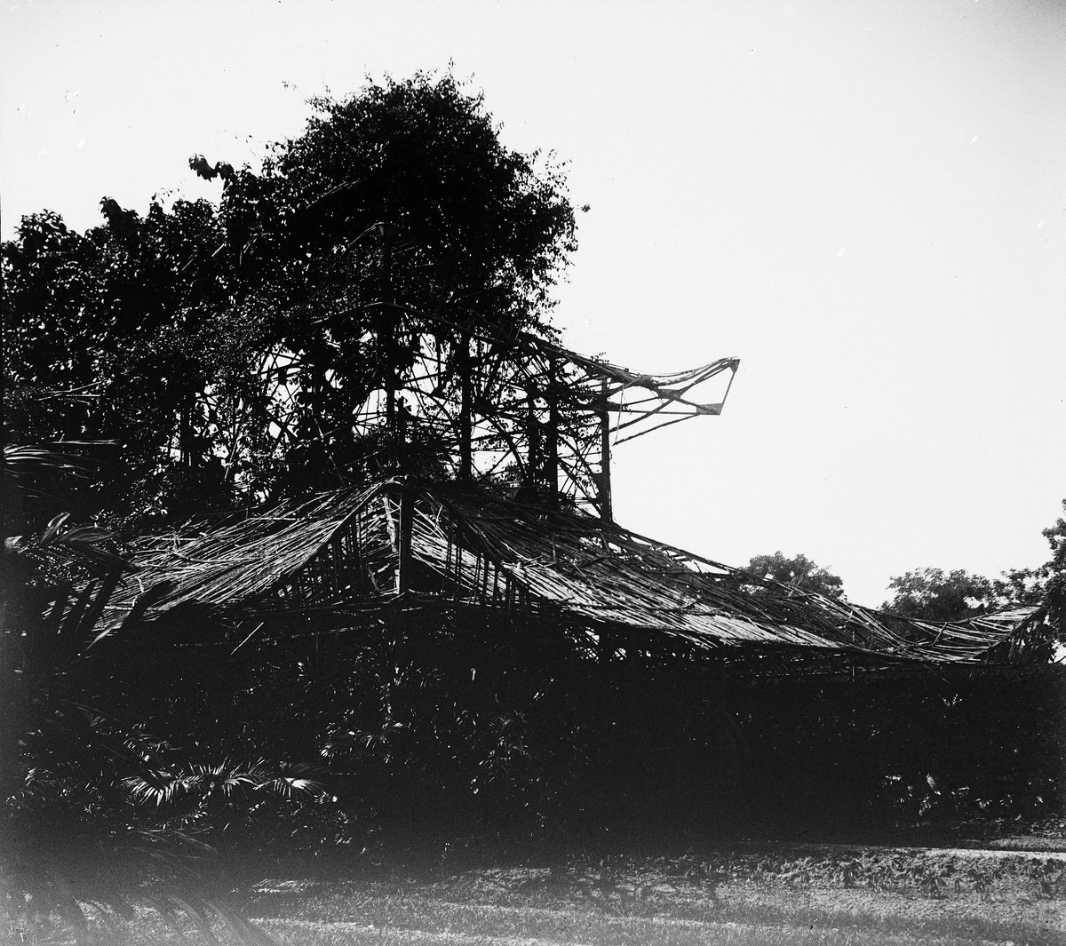 Khu nhà kính của vườn Bách Thảo. Khu vườn được thành lập năm 1890, quanh một hồ nước đẹp đã có từ lâu đời.