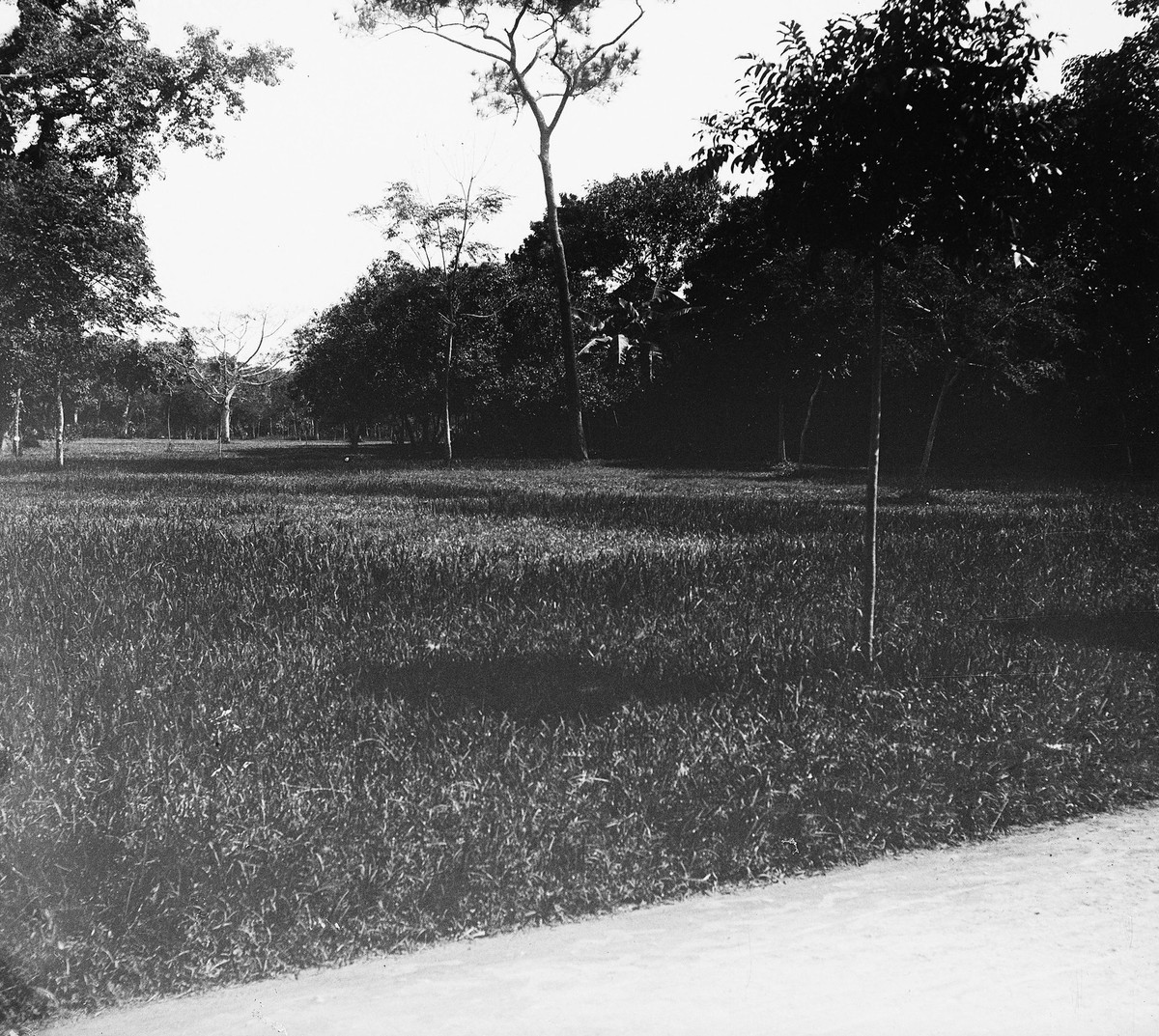 Diện tích vườn còn trên 10 ha, nằm trong địa phận phường Ngọc Hà, quận Ba Đình. Mời quý độc giả xem video: Quạt giấy Chàng Sơn - Danh phẩm của Hà thành. Nguồn: VTC1