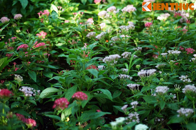 Đây thực sự là "thiên đường" dành cho những người yêu thích thiên nhiên.