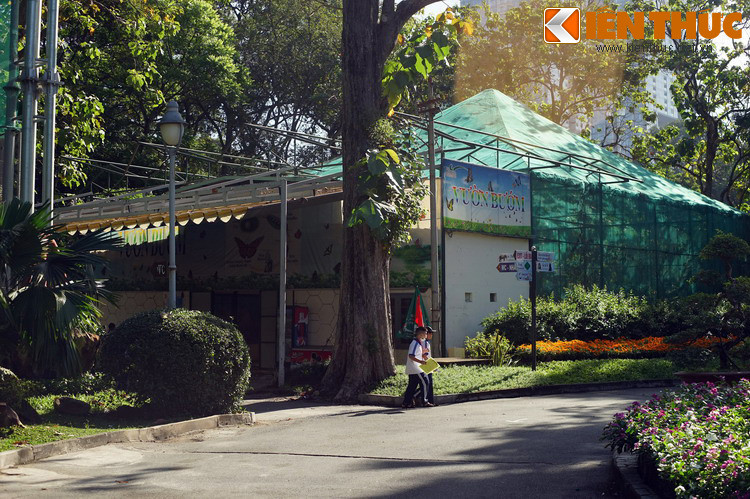 "Vườn địa đàng" ấy chính là khu vườn bướm của Thảo Cầm Viên Sài Gòn, một trong tám sở thú lâu đời nhất thế giới.