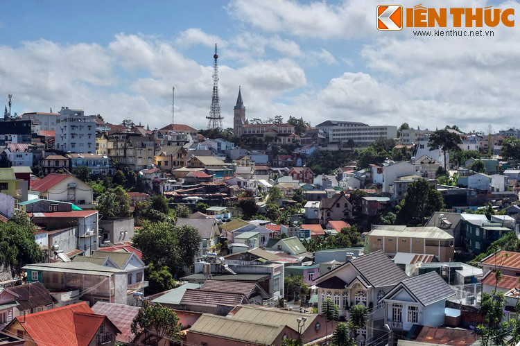 Ấn tượng nhất phải kể đến là khu vực xung quanh dốc Nhà Bò, một địa điểm nổi tiếng thuộc phường Ba Đà Lạt.