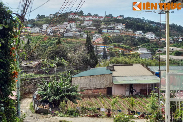 "Nhà bậc thang" cũng đang hình thành trên các ngọn đồi ở khu vực xa trung tâm.