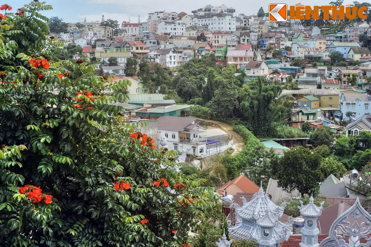 Khung cảnh nhìn từ chùa Bồ Đề ở phường Ba.