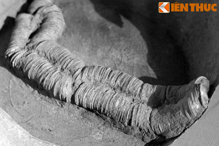 Ngoài yếu tố phong thủy, lỗ vuông của tiền xu còn có một tính năng đặc biệt hữu dụng, đó là dùng để luồn dây xâu tiền thành chuỗi, tiện cho việc vận chuyển, quản lý, sử dụng, cất trữ... Nhiều xâu tiền còn nguyên vẹn đã được tìm thấy trong các cuộc khai quật khảo cổ ở Việt Nam.