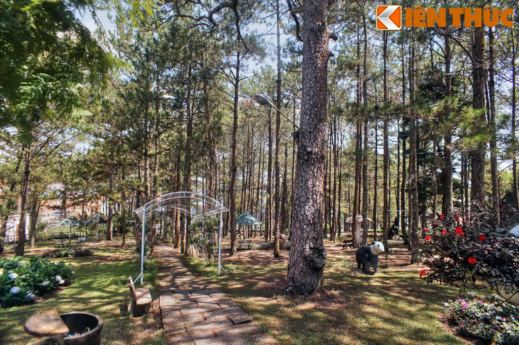 Với khuôn viên rộng 3 ha được bao phủ bởi vườn hoa và rửng thông, có các con đường uốn lượn trên triền đồi... Bảo tàng Lâm Đồng cũng là một trong những bảo tàng có cảnh quan đẹp nhất Việt Nam.