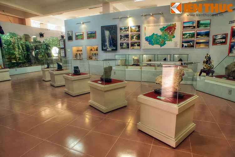 Thành lập 1978 và chuyển về địa điểm hiện tại từ năm 1999, bảo tàng này là nơi giới thiệu về lịch sử - văn hóa của vùng đất Lâm Đồng qua các bộ sưu tập đồ sộ thuộc nhiều chủ đề với số lượng hiện vật lên tới 15.000.