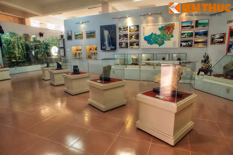 Thành lập 1978 và chuyển về địa điểm hiện tại từ năm 1999, bảo tàng này là nơi giới thiệu về lịch sử - văn hóa của vùng đất Lâm Đồng qua các bộ sưu tập đồ sộ thuộc nhiều chủ đề với số lượng hiện vật lên tới 15.000.