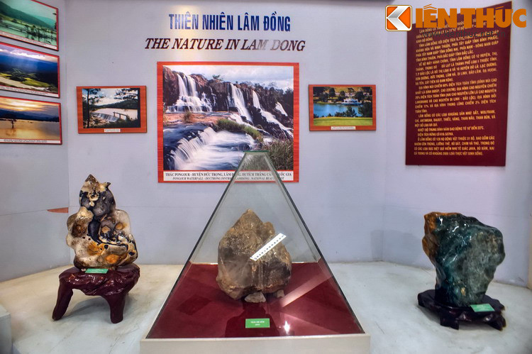 Nội dung trưng bày của Bảo tàng được bố trí khoa học, bao gồm các khu vực chính như: Thiên nhiên Lâm Đồng; Những phát hiện về khảo cổ học ở Lâm Đồng; Những nét văn hóa đặc trưng của các dân tộc bản địa; Đà Lạt xưa và nay...