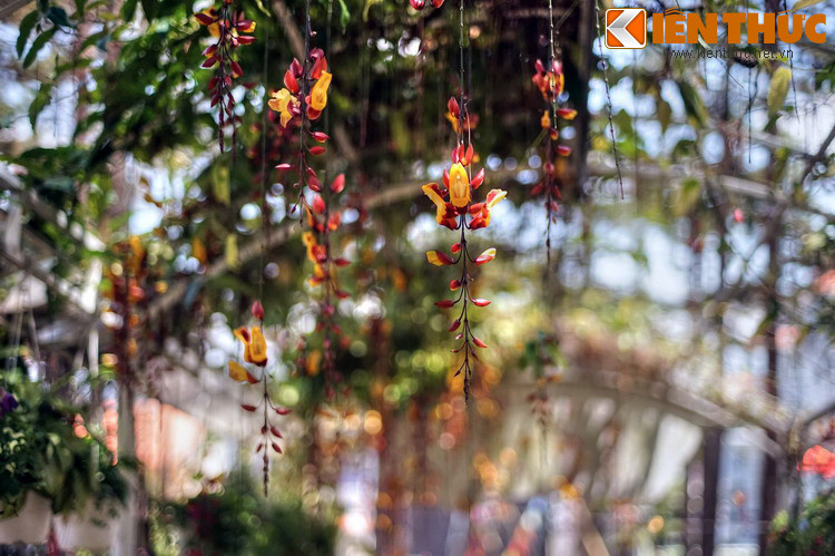 Tiếc rằng cho đến nay, dù đã trở thành một điểm đến có tiếng với du khách quốc tế, Bảo tàng Lâm Đồng vẫn chưa nhận được sự quan tâm đúng mức từ du khách trong nước. Hi vọng rằng thông qua các hoạt động quảng bá, điều này sẽ được cải thiện trong tương lai.