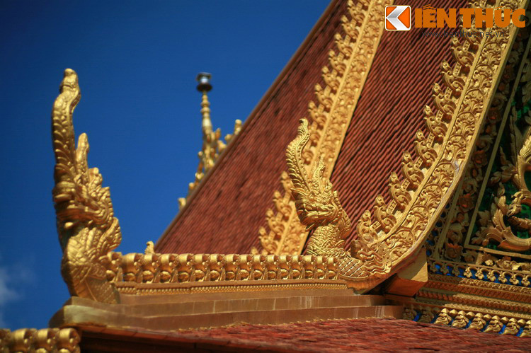 Người Ấn Độ cổ quan niệm rắn Naga là linh hồn của thiên nhiên, bảo vệ các nguồn nước như sông, suối, mạch ngầm, giúp mùa màng tốt tươi. Do vậy Naga là biểu trưng cho sự thịnh vượng. Ngoài ra linh vật này còn mang ý nghĩa khác là sự kết nối giữa cõi nhân gian và thiên giới.