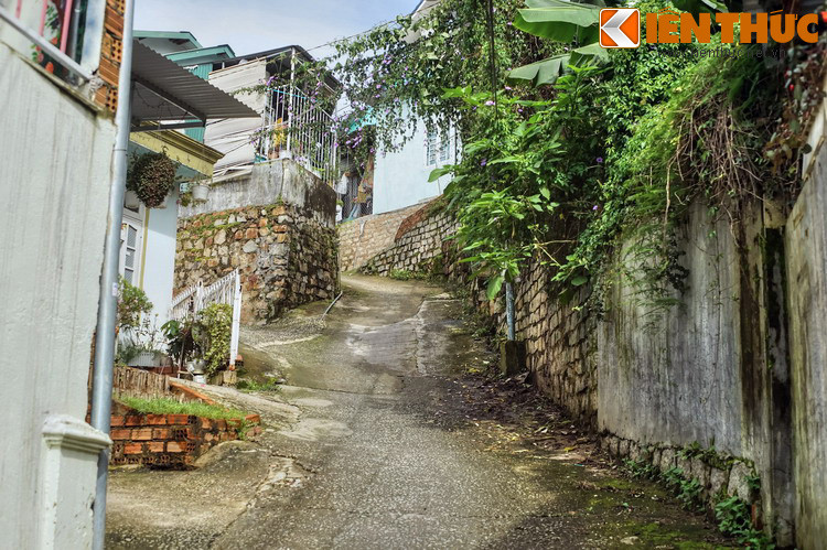 Khung cảnh ở hẻm 27 An Bình. Đường đi trong các khu "nhà bậc thang" thường rất hẹp, dốc và quanh co, là thách thức lớn với người đi xe máy.